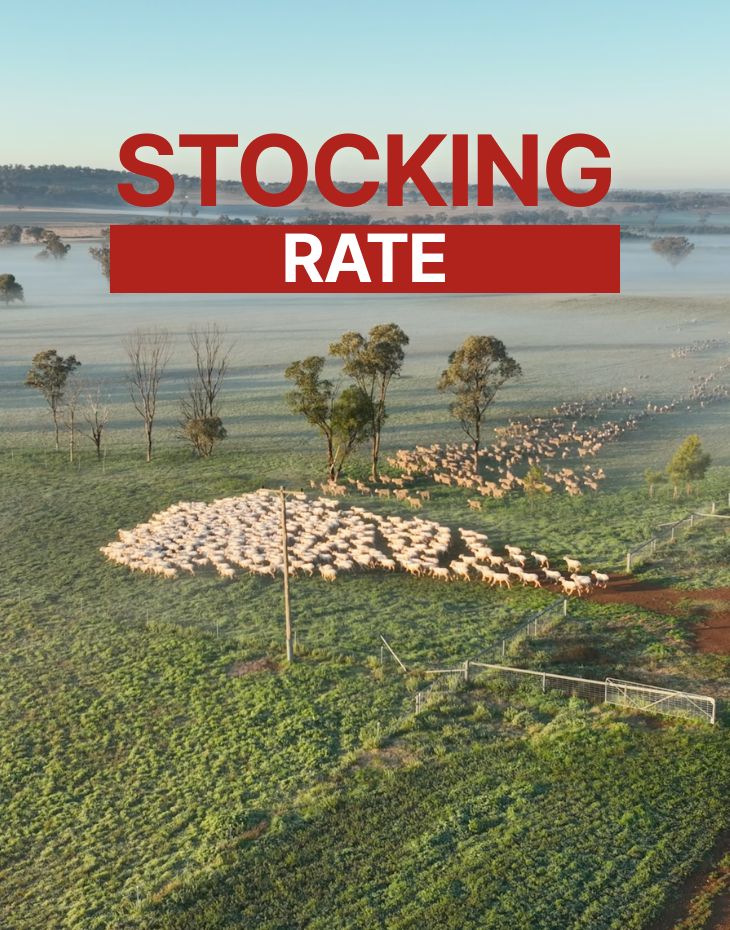 Stocking Rate - With Mark Ferguson neXtgen Agri
